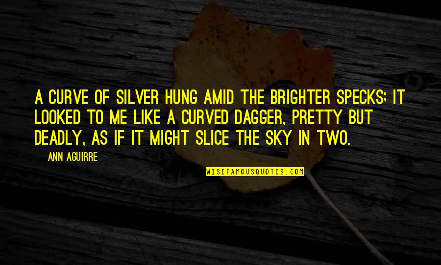 Hung Quotes By Ann Aguirre: A curve of silver hung amid the brighter
