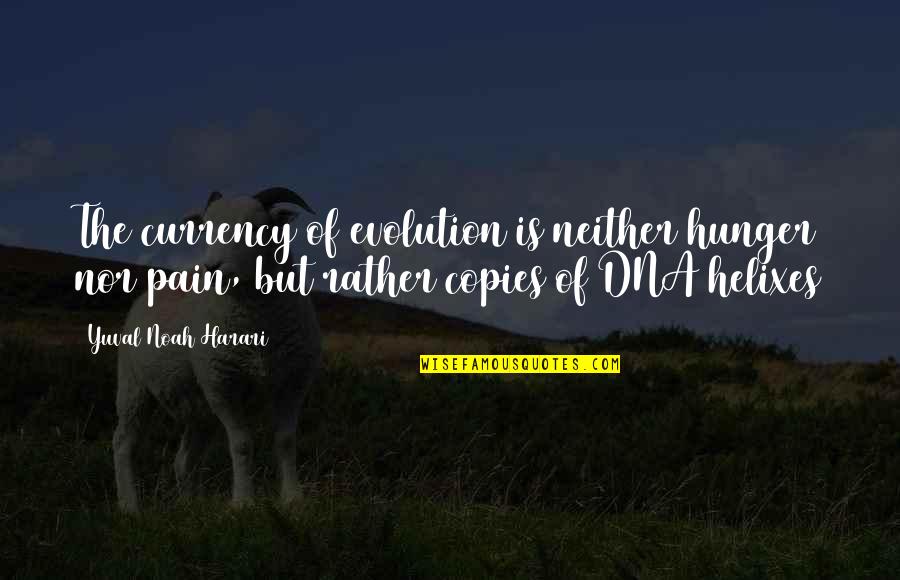 Hunger'n'pain Quotes By Yuval Noah Harari: The currency of evolution is neither hunger nor