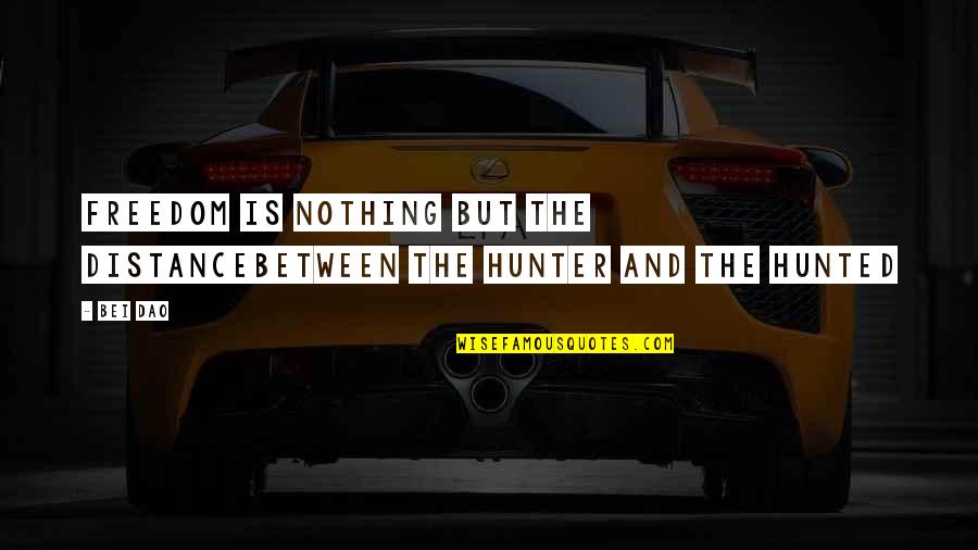 Hunter And Hunted Quotes By Bei Dao: Freedom is nothing but the distancebetween the hunter