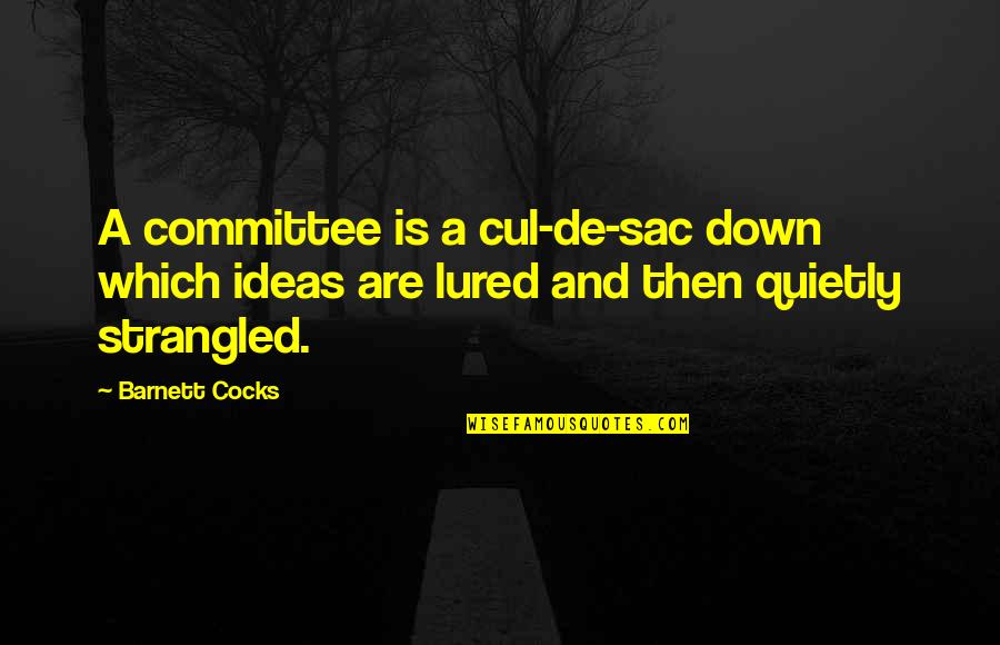 Hunter X Hunter Killua Quotes By Barnett Cocks: A committee is a cul-de-sac down which ideas