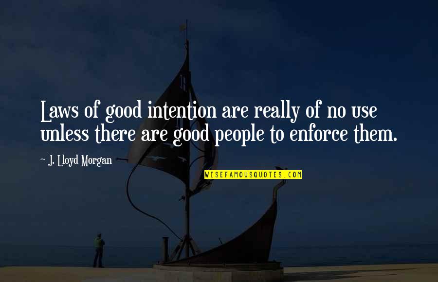 Huntin Quotes By J. Lloyd Morgan: Laws of good intention are really of no