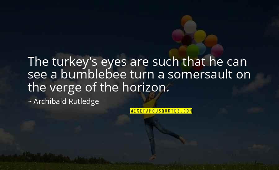 Hunting Quotes By Archibald Rutledge: The turkey's eyes are such that he can
