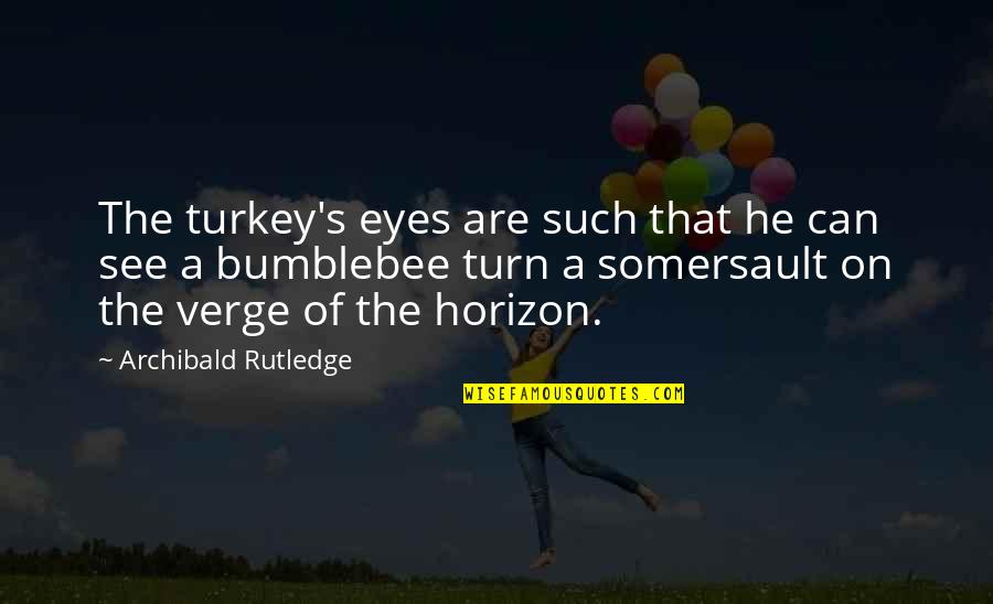 Hunting Turkey Quotes By Archibald Rutledge: The turkey's eyes are such that he can Hunting Turkey Quotes By Archibald Rutledge: The turkey's eyes are such that he can