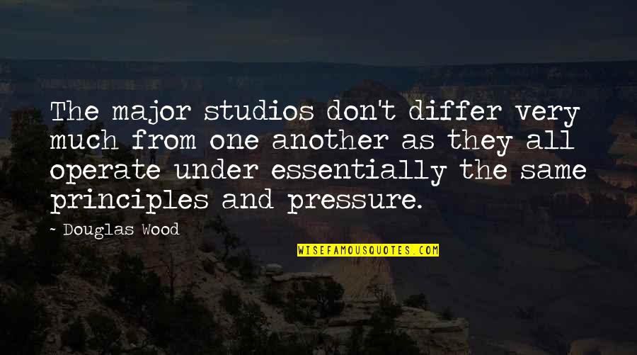 Hunting Turkey Quotes By Douglas Wood: The major studios don't differ very much from