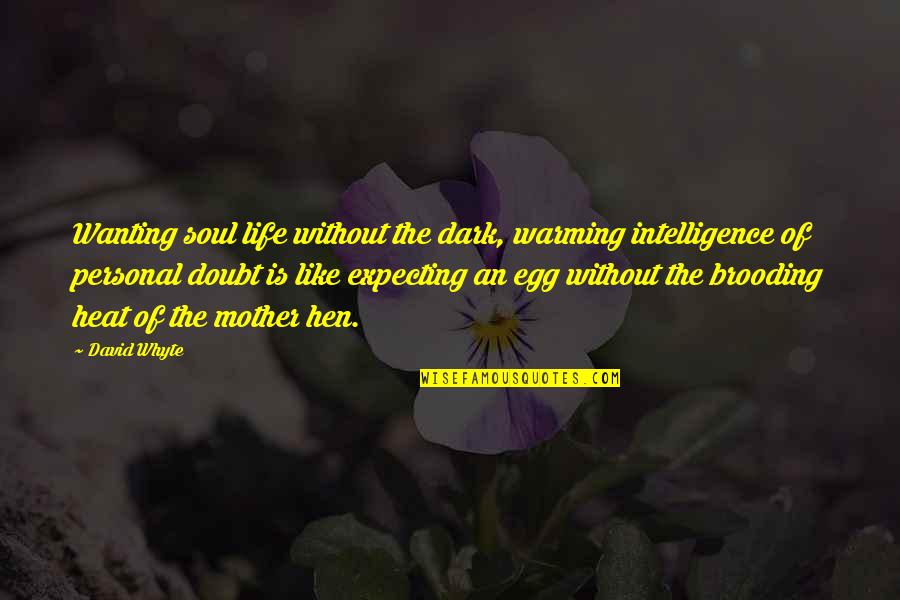 Hunting Widows Quotes By David Whyte: Wanting soul life without the dark, warming intelligence