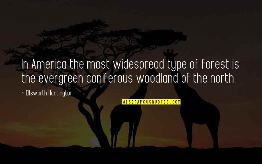 Huntington Quotes By Ellsworth Huntington: In America the most widespread type of forest