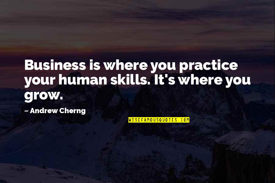 Huntsberger Missoula Quotes By Andrew Cherng: Business is where you practice your human skills.