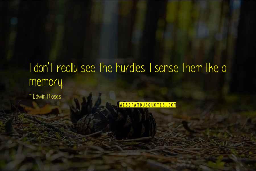 Hurdles Quotes By Edwin Moses: I don't really see the hurdles. I sense