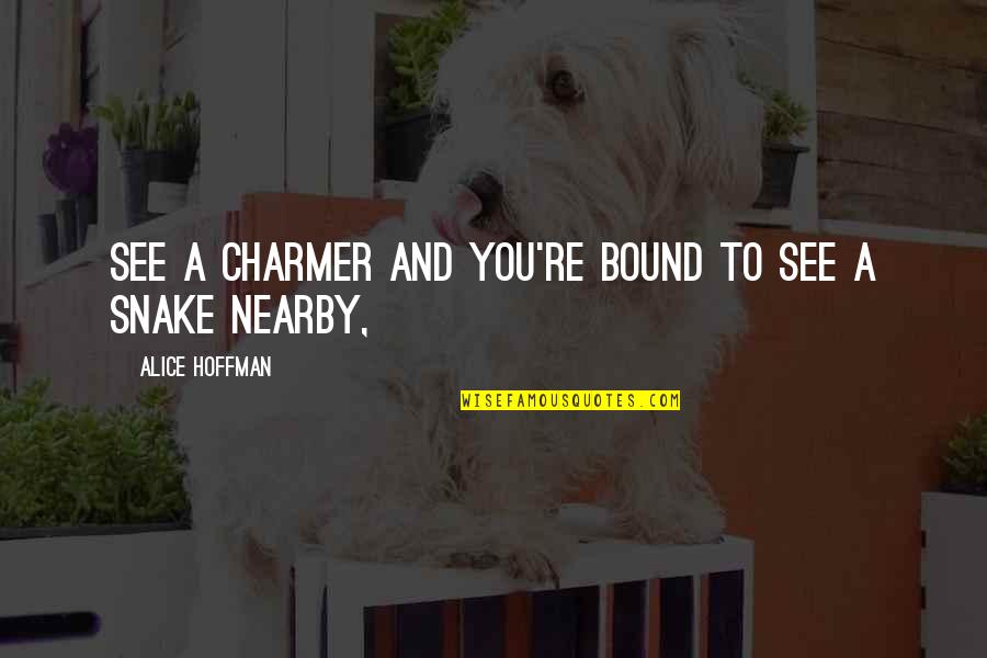 Hurriedly Past Quotes By Alice Hoffman: See a charmer and you're bound to see
