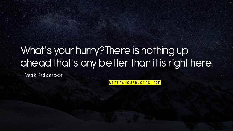 Hurry Up Quotes By Mark Richardson: What's your hurry?There is nothing up ahead that's