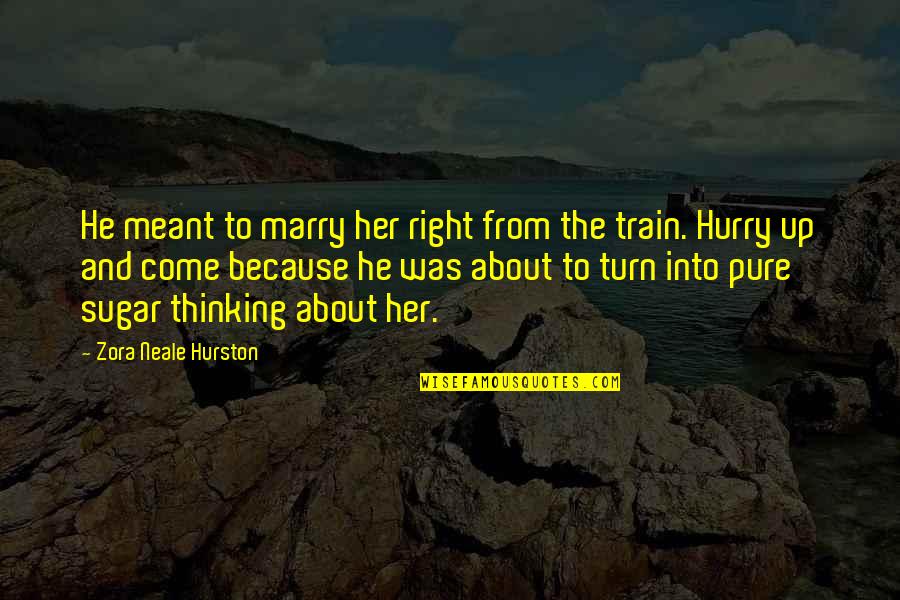 Hurry Up Quotes By Zora Neale Hurston: He meant to marry her right from the