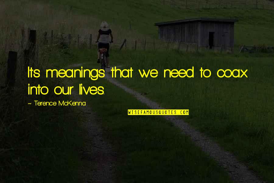 Hurrying Things Quotes By Terence McKenna: It's meanings that we need to coax into