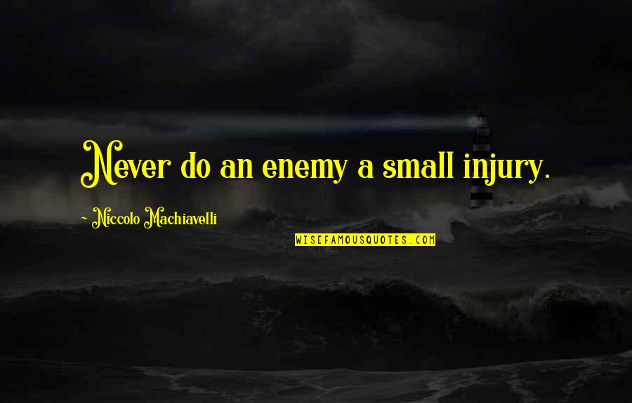 Hurt Feelings Twitter Quotes By Niccolo Machiavelli: Never do an enemy a small injury.