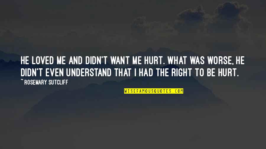 Hurt Me All You Want Quotes By Rosemary Sutcliff: He loved me and didn't want me hurt.