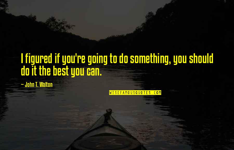 Hurt Phrases And Quotes By John T. Walton: I figured if you're going to do something, Hurt Phrases And Quotes By John T. Walton: I figured if you're going to do something,