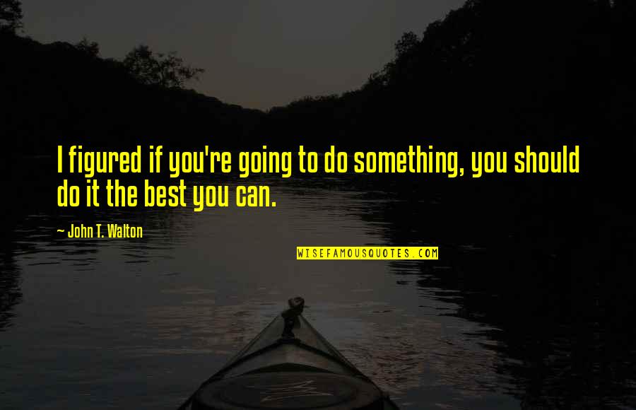 Hurt Phrases And Quotes By John T. Walton: I figured if you're going to do something,