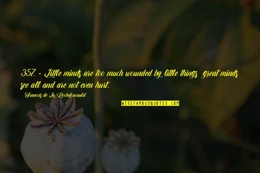 Hurt Too Much Quotes By Francois De La Rochefoucauld: 357. - Little minds are too much wounded Hurt Too Much Quotes By Francois De La Rochefoucauld: 357. - Little minds are too much wounded