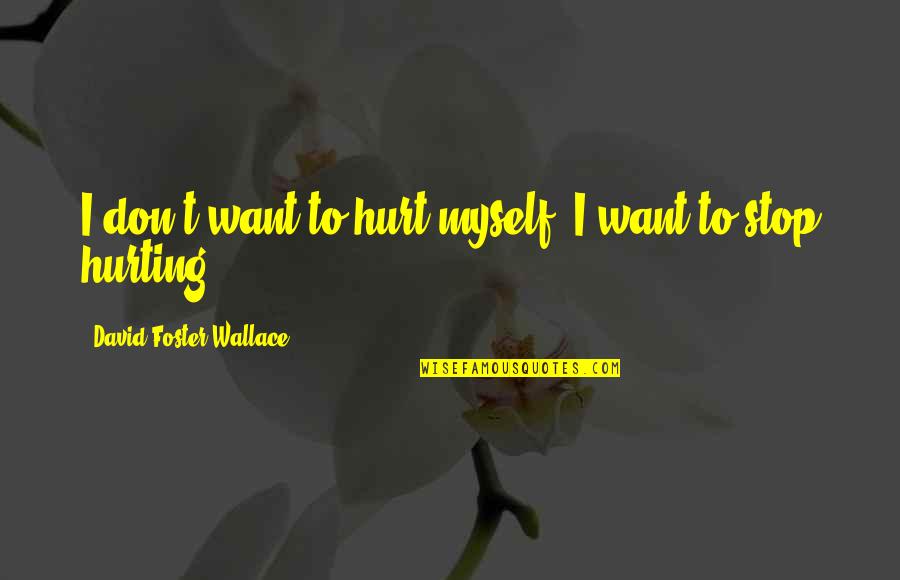 Hurting Each Other Quotes By David Foster Wallace: I don't want to hurt myself. I want