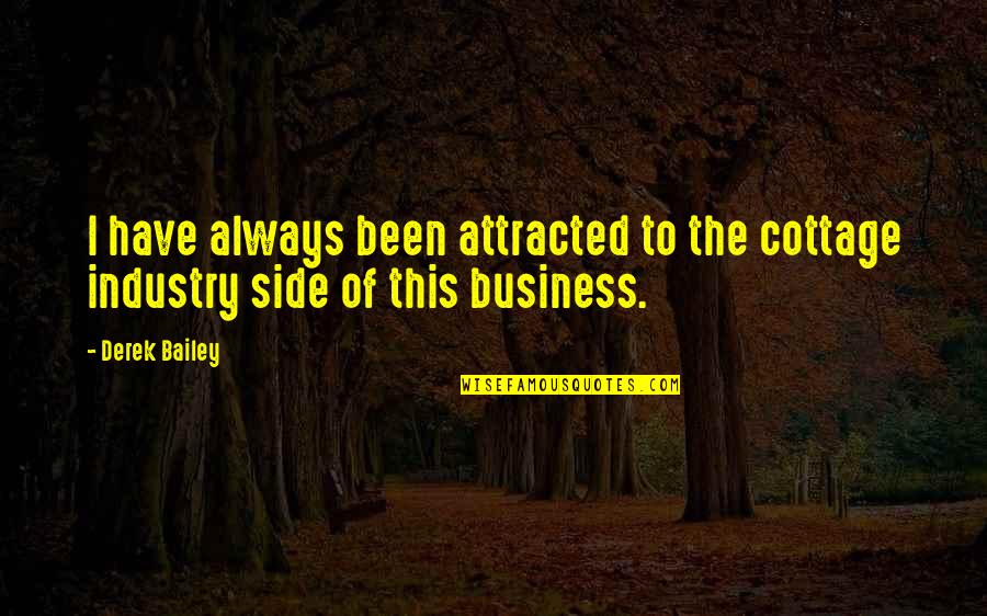 Hurting Others Intentionally Quotes By Derek Bailey: I have always been attracted to the cottage