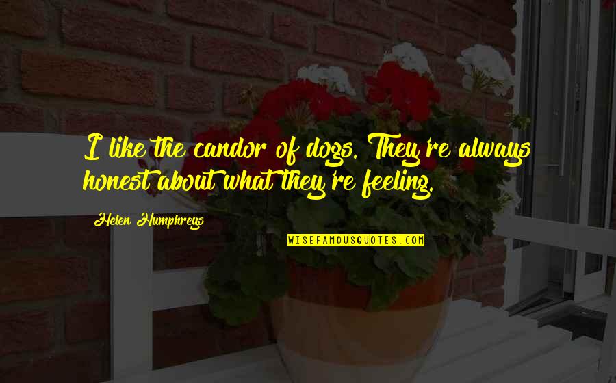 Hurting Someone On Purpose Quotes By Helen Humphreys: I like the candor of dogs. They're always