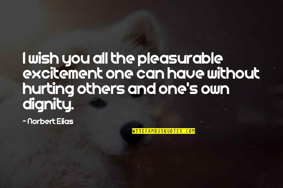 Hurting You Quotes By Norbert Elias: I wish you all the pleasurable excitement one Hurting You Quotes By Norbert Elias: I wish you all the pleasurable excitement one