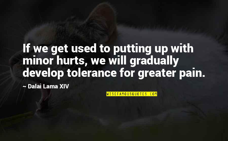 Hurts Quotes By Dalai Lama XIV: If we get used to putting up with