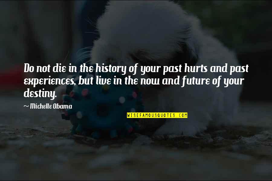 Hurts Quotes By Michelle Obama: Do not die in the history of your