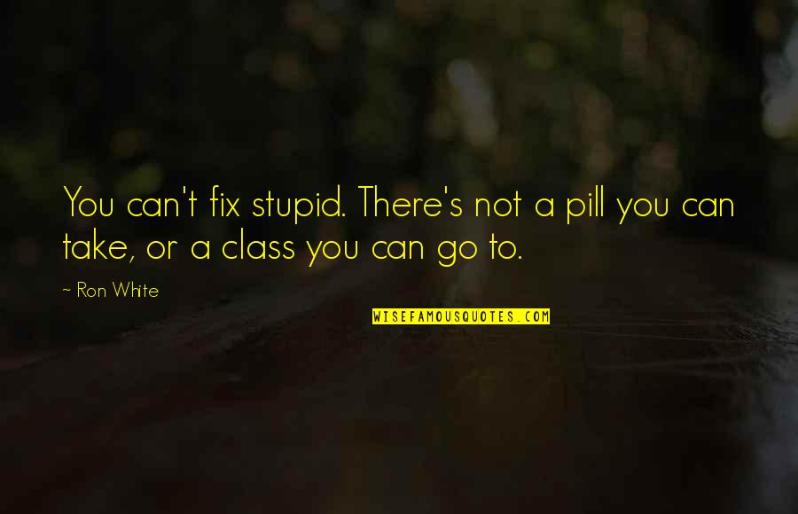 Husaberg 300 Quotes By Ron White: You can't fix stupid. There's not a pill