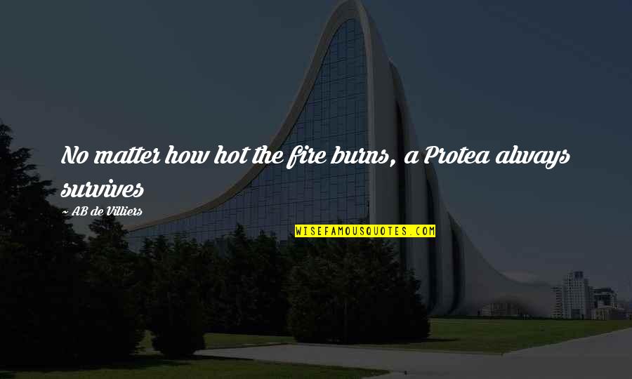 Husband Clicks Quotes By AB De Villiers: No matter how hot the fire burns, a