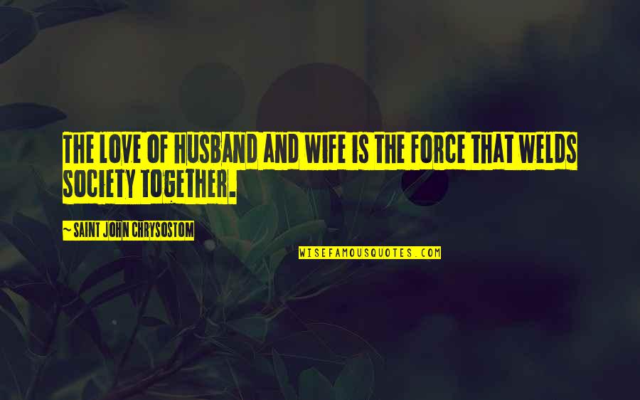 Husband Love Your Wife Quotes By Saint John Chrysostom: The love of husband and wife is the