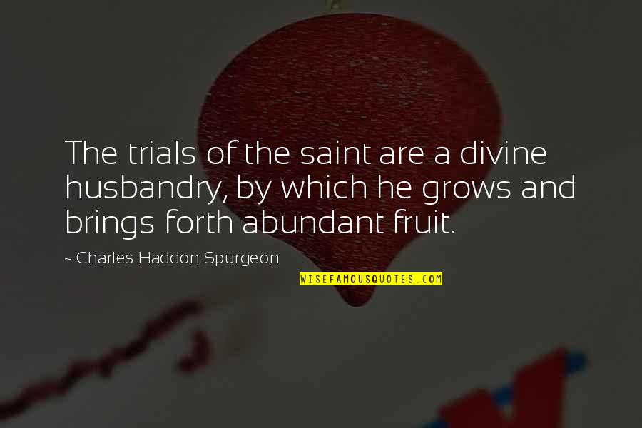 Husbandry Quotes By Charles Haddon Spurgeon: The trials of the saint are a divine