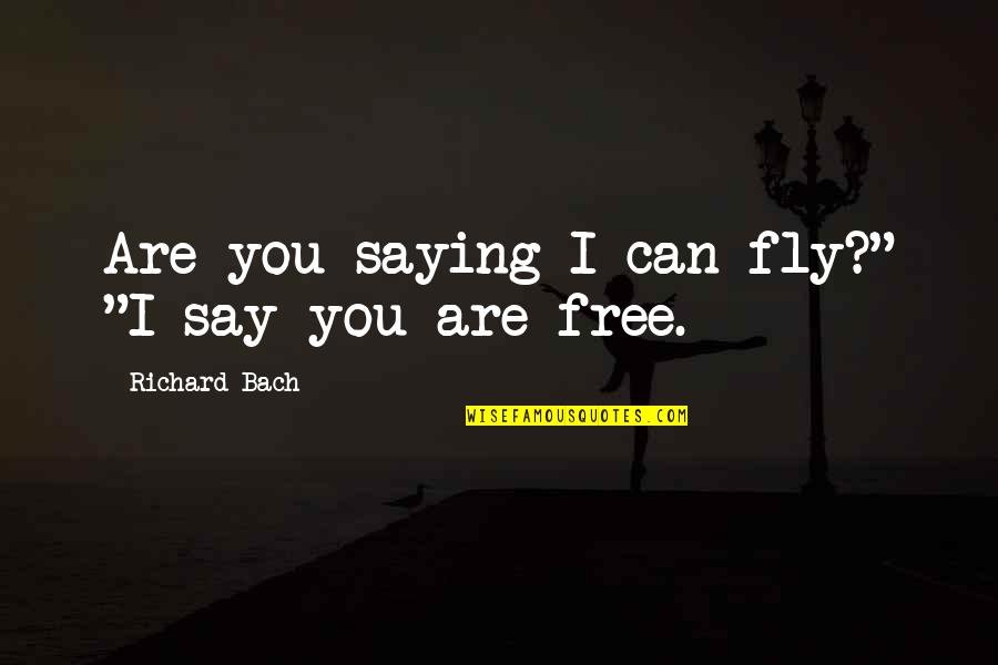 Husbands Supporting Wives Quotes By Richard Bach: Are you saying I can fly?" "I say