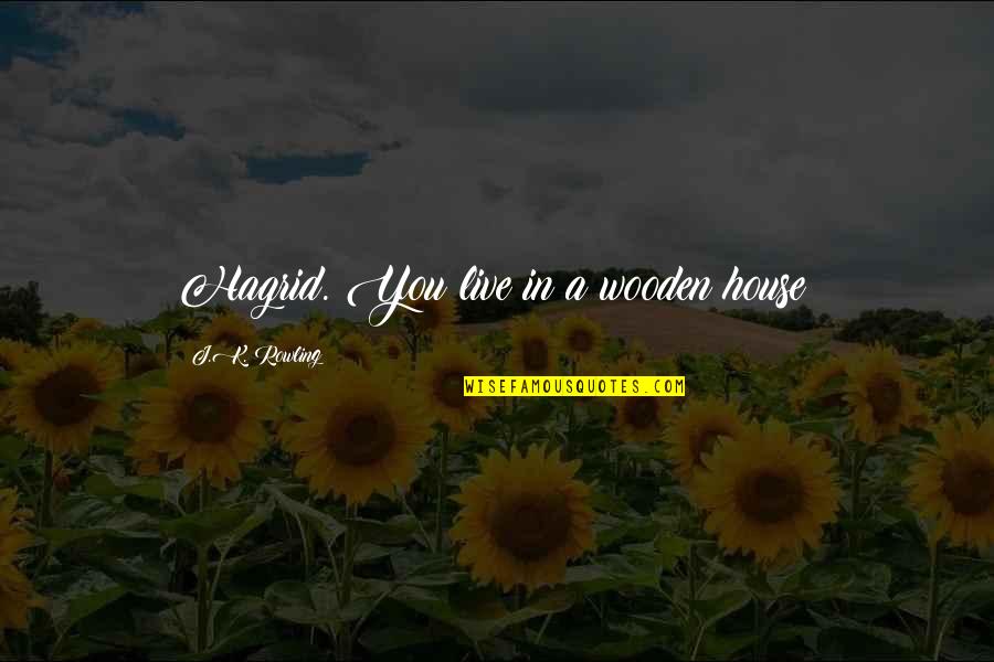 Huseynov Quotes By J.K. Rowling: Hagrid. You live in a wooden house! Huseynov Quotes By J.K. Rowling: Hagrid. You live in a wooden house!