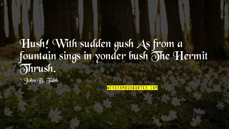 Hush Hush Quotes By John B. Tabb: Hush! With sudden gush As from a fountain