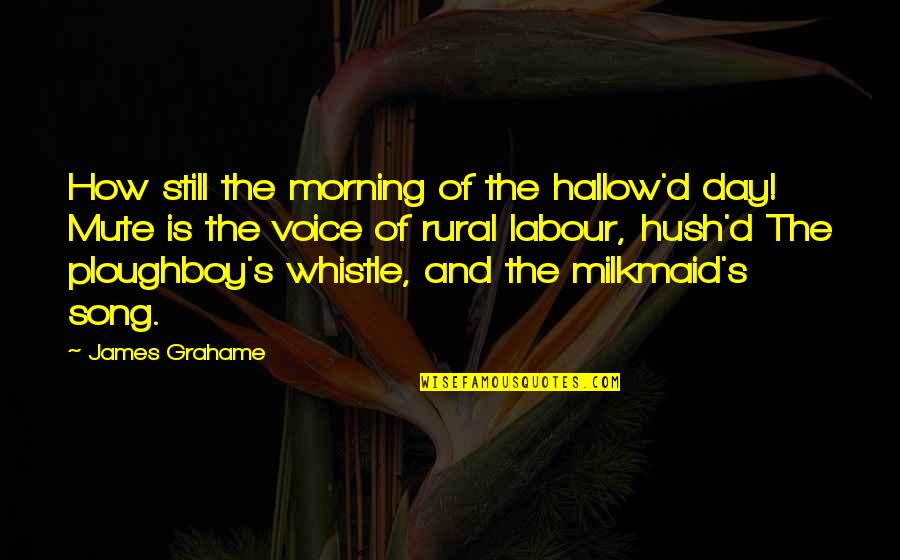 Hush'd Quotes By James Grahame: How still the morning of the hallow'd day!