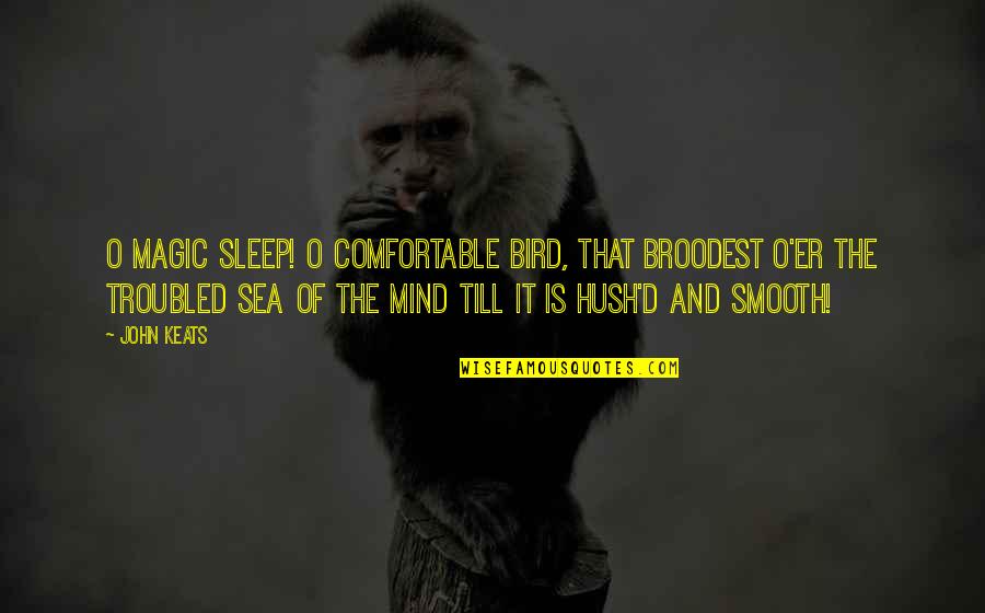 Hush'd Quotes By John Keats: O magic sleep! O comfortable bird, That broodest