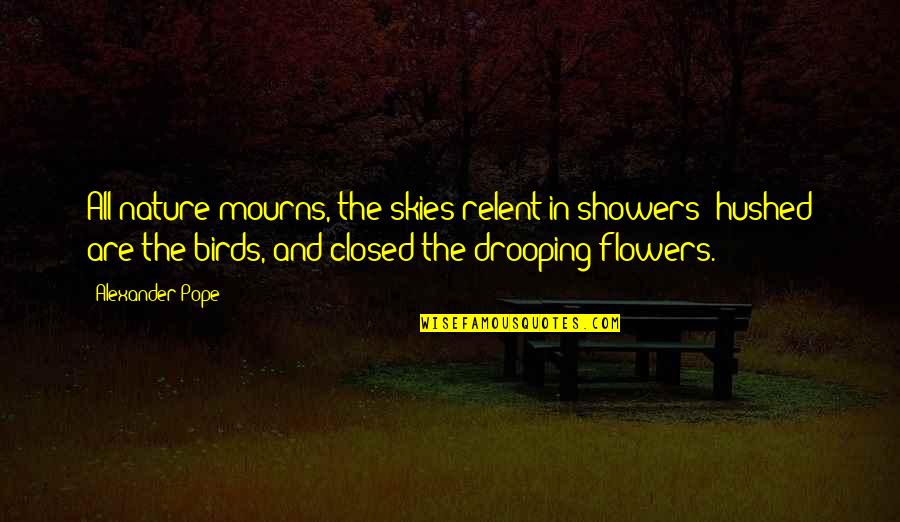 Hushed Quotes By Alexander Pope: All nature mourns, the skies relent in showers;