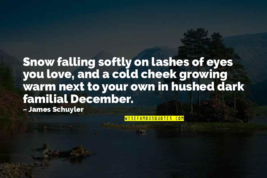 Hushed Quotes By James Schuyler: Snow falling softly on lashes of eyes you Hushed Quotes By James Schuyler: Snow falling softly on lashes of eyes you