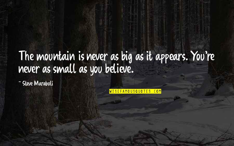 Huskisson Beach Quotes By Steve Maraboli: The mountain is never as big as it