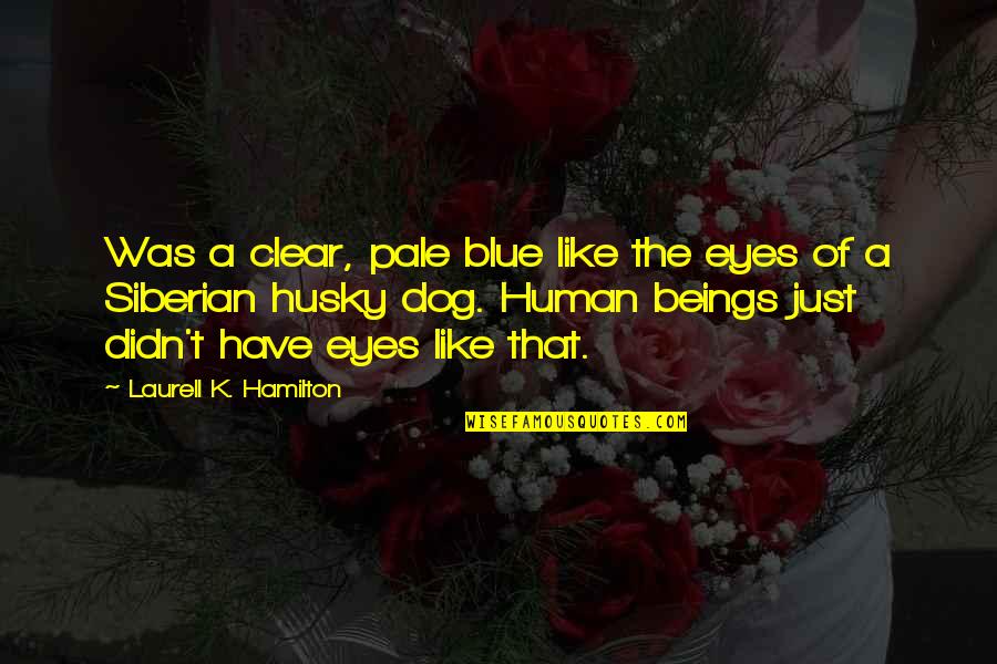 Husky Blue Eyes Quotes By Laurell K. Hamilton: Was a clear, pale blue like the eyes