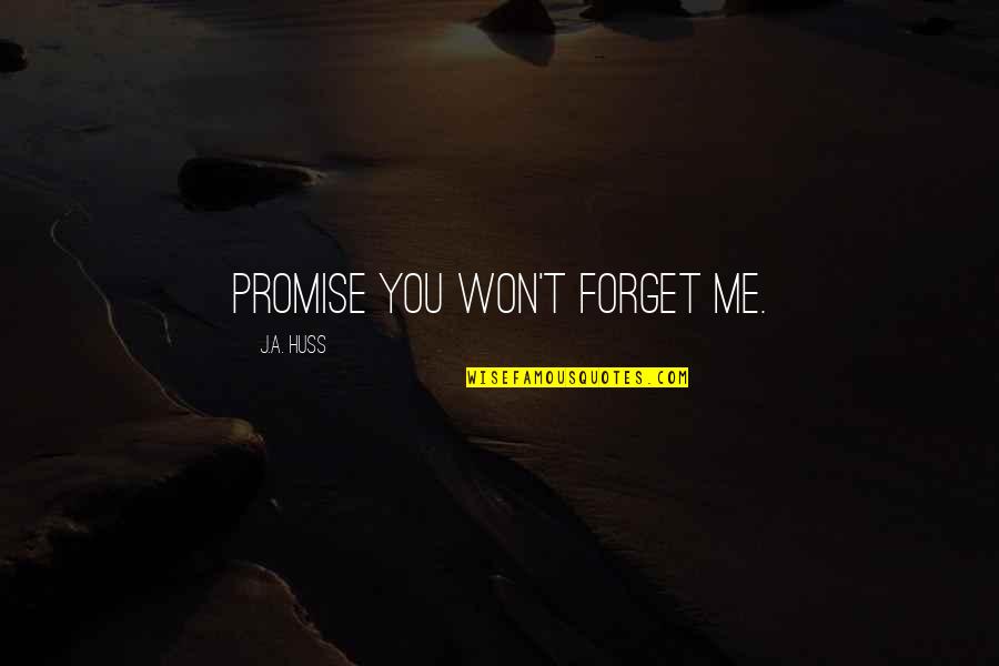 Huss Quotes By J.A. Huss: Promise you won't forget me.