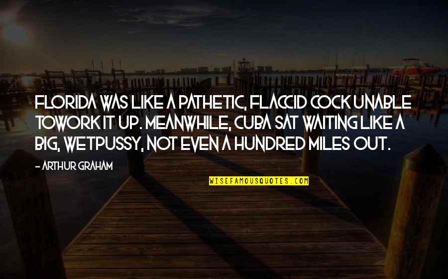 Hustle Prayer Quotes By Arthur Graham: Florida was like a pathetic, flaccid cock unable Hustle Prayer Quotes By Arthur Graham: Florida was like a pathetic, flaccid cock unable