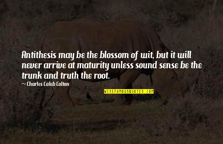 Hustle Work Quotes By Charles Caleb Colton: Antithesis may be the blossom of wit, but Hustle Work Quotes By Charles Caleb Colton: Antithesis may be the blossom of wit, but