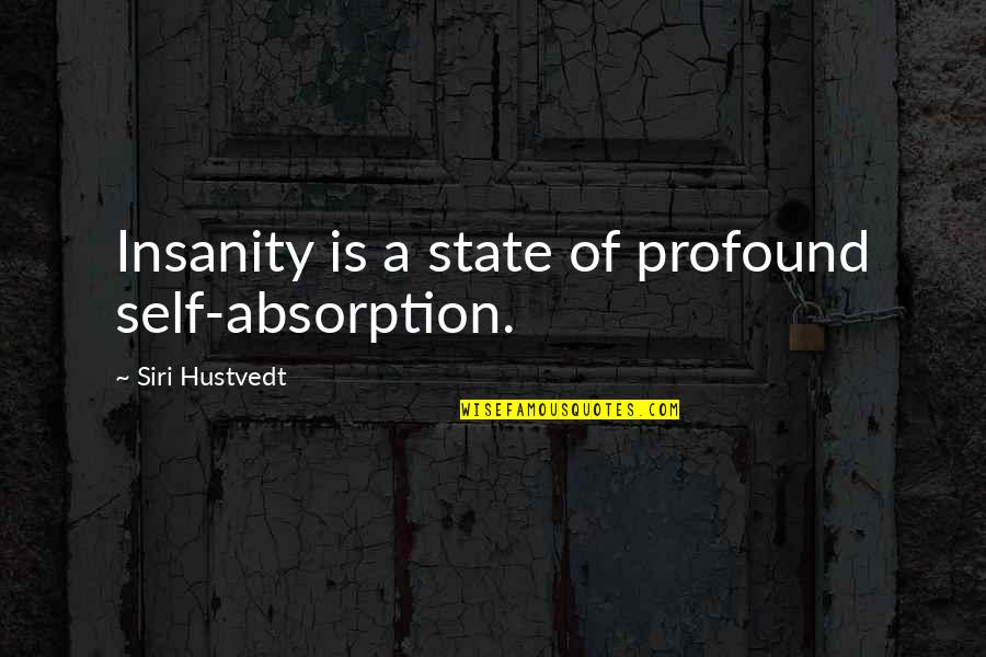 Hustvedt Quotes By Siri Hustvedt: Insanity is a state of profound self-absorption.