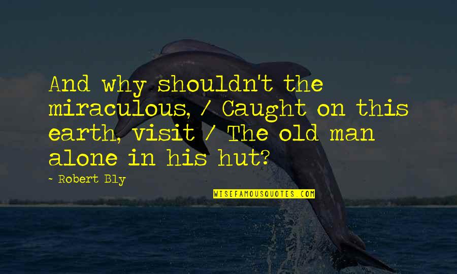 Hut Quotes By Robert Bly: And why shouldn't the miraculous, / Caught on Hut Quotes By Robert Bly: And why shouldn't the miraculous, / Caught on