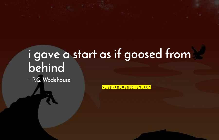 Huycke Ann Quotes By P.G. Wodehouse: i gave a start as if goosed from