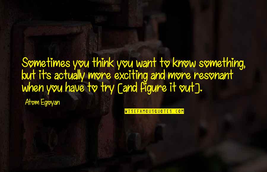 Huysentruyt Heule Quotes By Atom Egoyan: Sometimes you think you want to know something, Huysentruyt Heule Quotes By Atom Egoyan: Sometimes you think you want to know something,