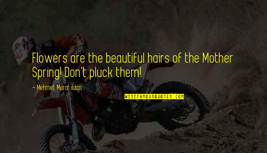 Huysman Quotes By Mehmet Murat Ildan: Flowers are the beautiful hairs of the Mother Huysman Quotes By Mehmet Murat Ildan: Flowers are the beautiful hairs of the Mother