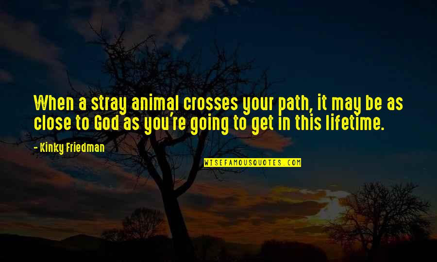 Hvad Quotes By Kinky Friedman: When a stray animal crosses your path, it