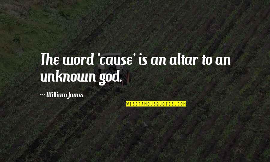 Hvae Quotes By William James: The word 'cause' is an altar to an